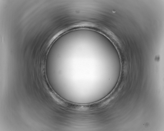 X0000094381321200711020815