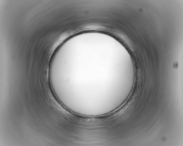 X0000094381322200711020815