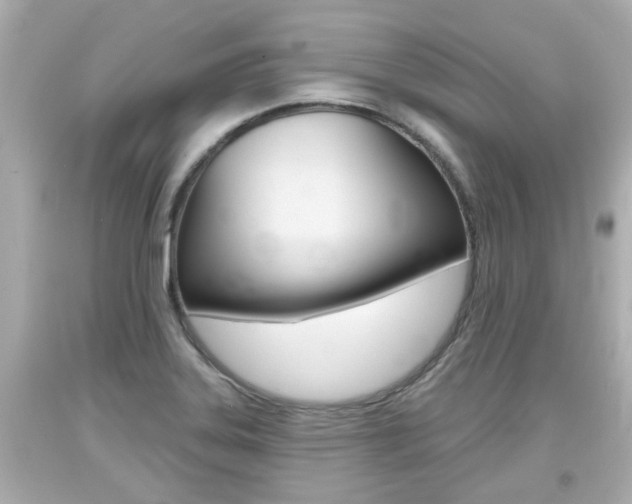 X0000094381323200711020815