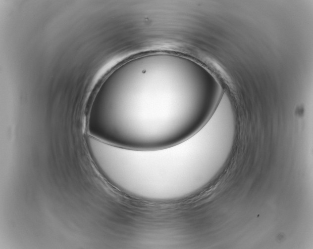 X0000094381324200711020815