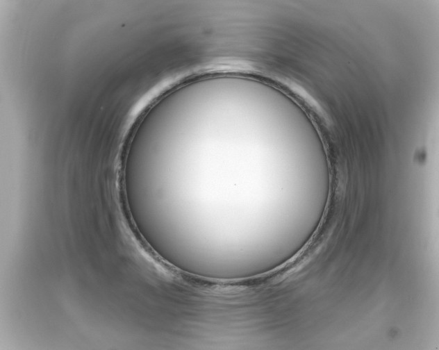 X0000094381325200711020815