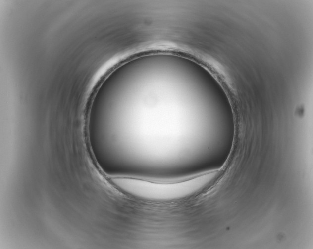 X0000094381326200711020815