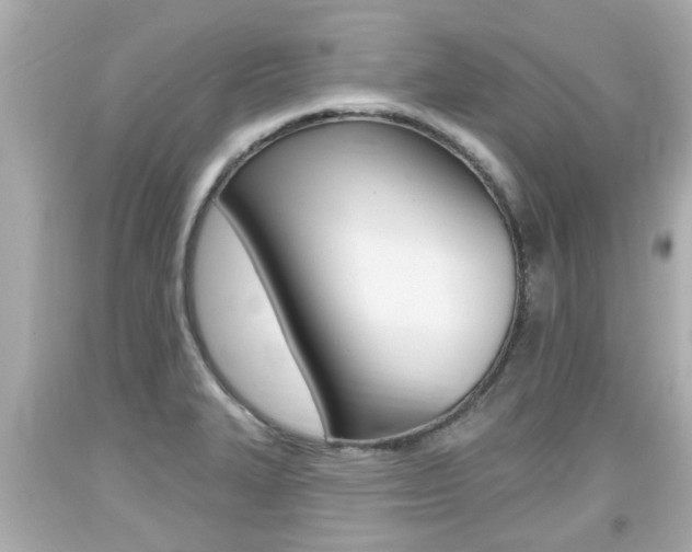 X0000094381327200711020815
