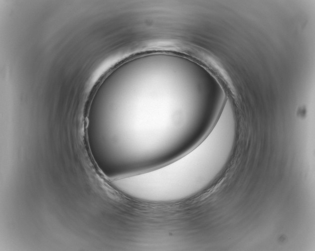 X0000094381328200711020815