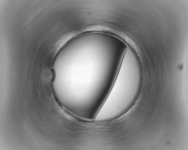 X0000094381329200711020815
