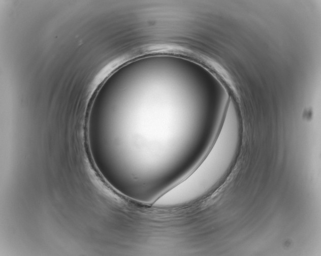 X0000094381330200711020816