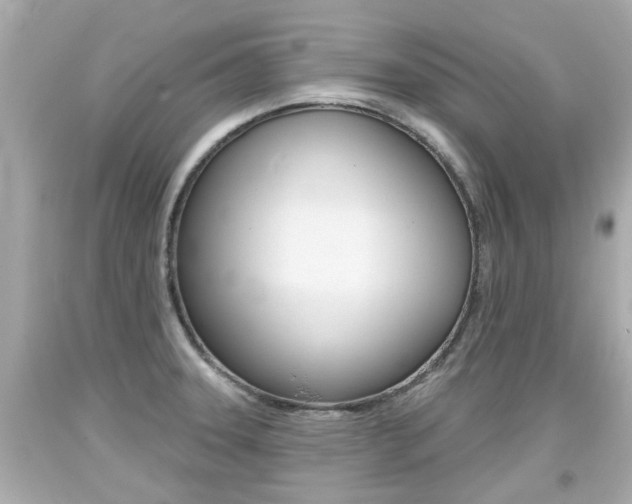 X0000094381331200711020816