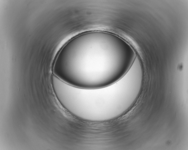 X0000094381332200711020816