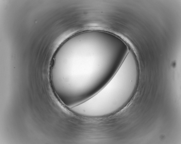 X0000094381333200711020816