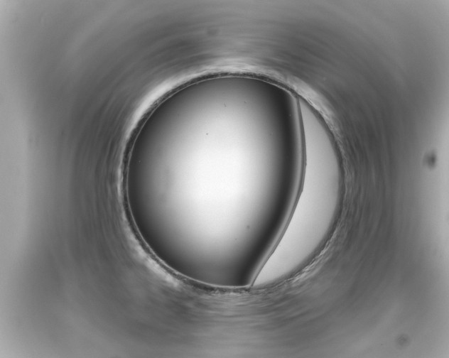 X0000094381334200711020816