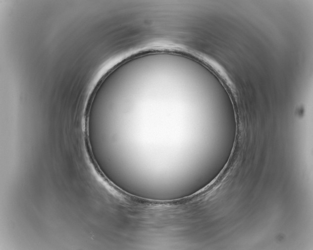 X0000094381335200711020816
