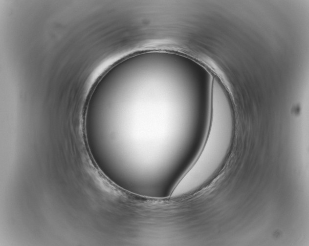 X0000094381336200711020816