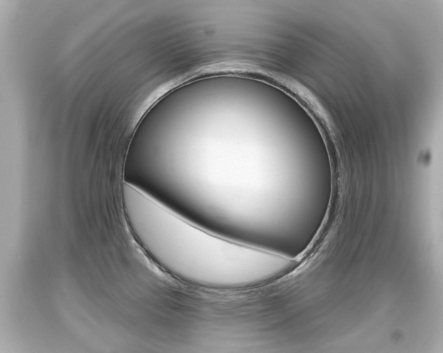 X0000094381337200711020816