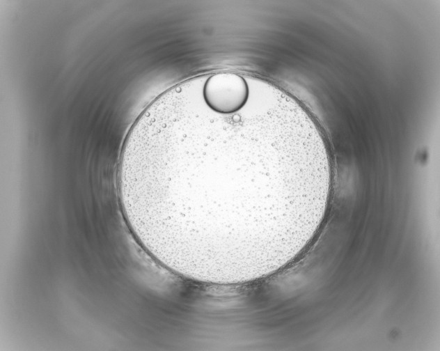 X0000094381338200711020816