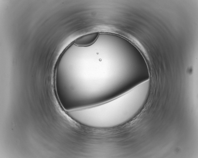 X0000094381339200711020816