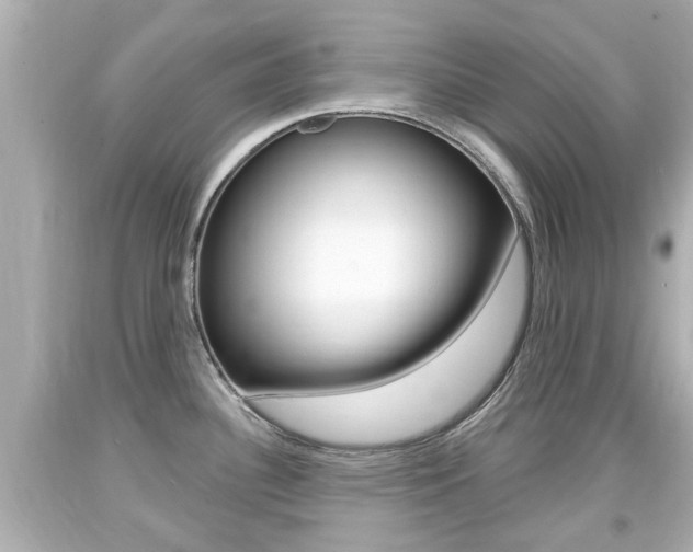 X0000094381340200711020816