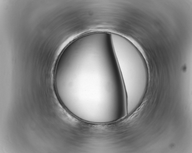 X0000094381341200711020816