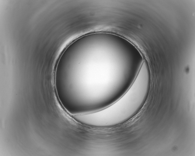 X0000094381342200711020816