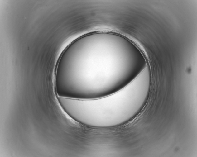 X0000094381343200711020816