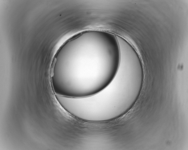 X0000094381344200711020816