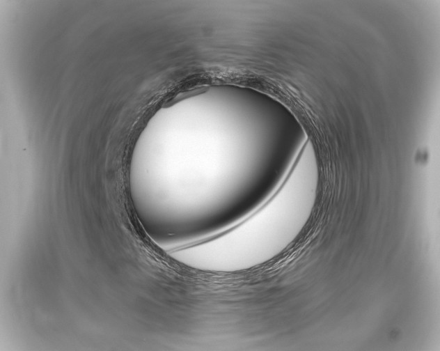 X0000094381345200711020815