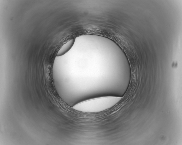 X0000094381346200711020815