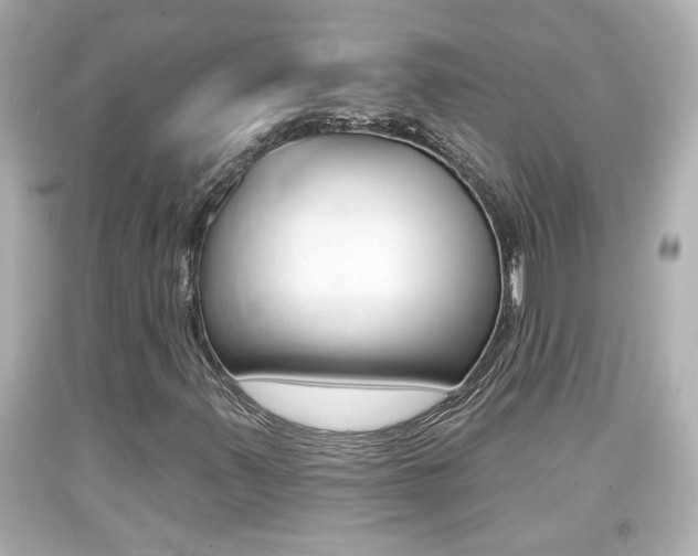 X0000094381347200711020815