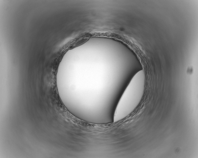 X0000094381350200711020815