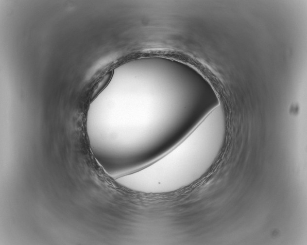X0000094381351200711020815