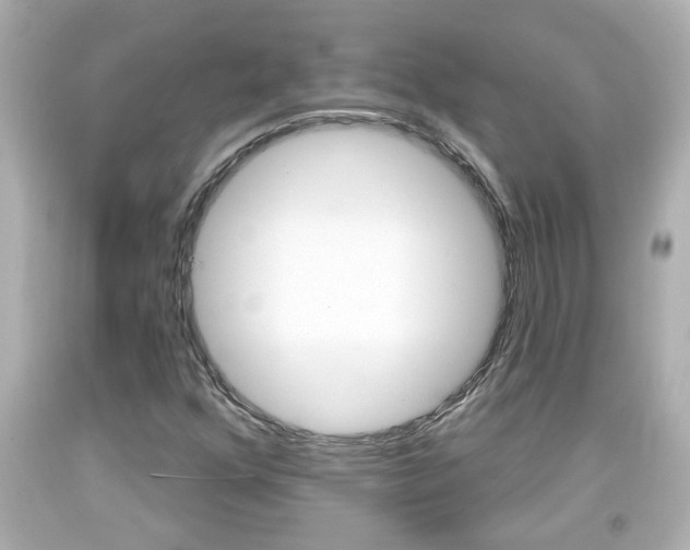 X0000094381352200711020815