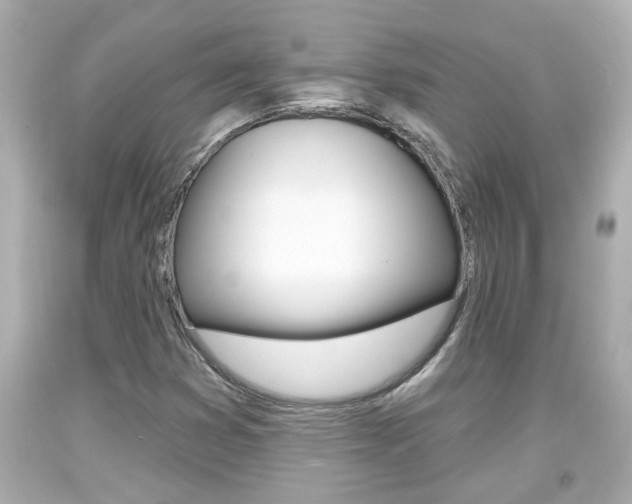 X0000094381353200711020815