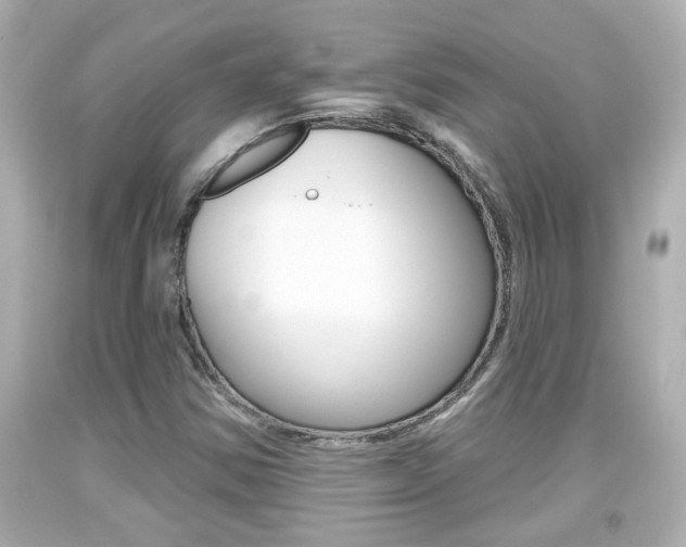 X0000094381354200711020815