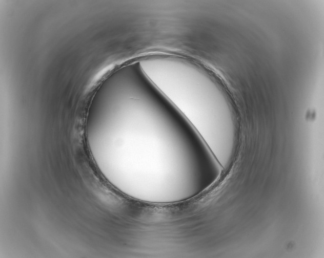 X0000094381355200711020815