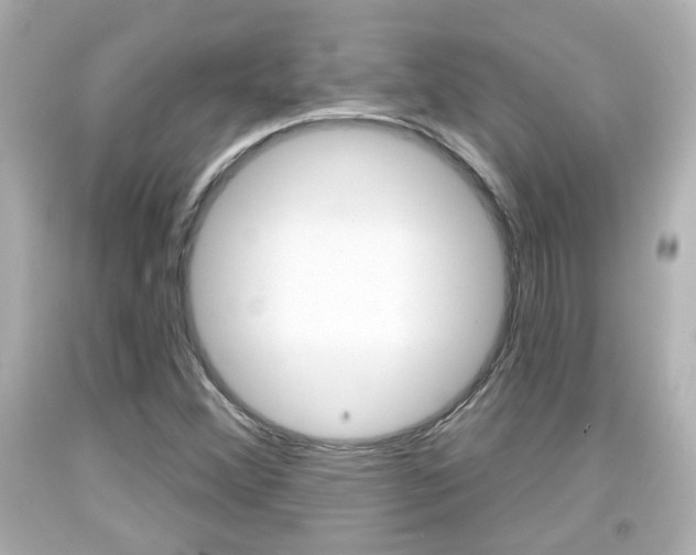 X0000094381356200711020815