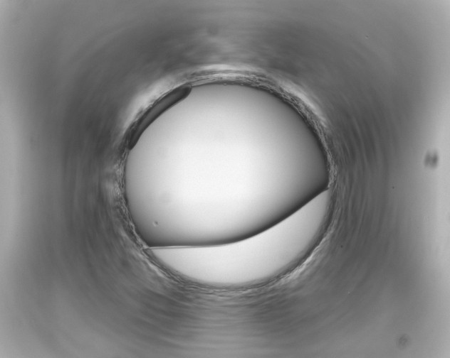 X0000094381357200711020815