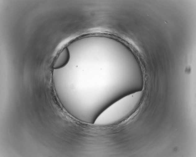 X0000094381358200711020815