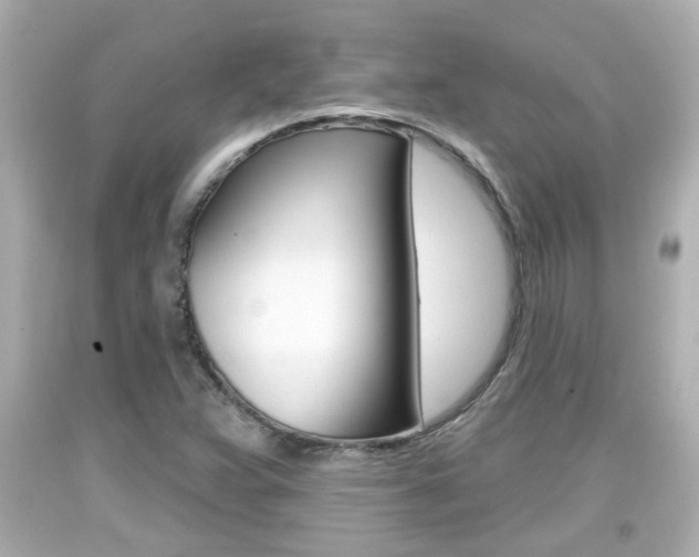 X0000094381359200711020815