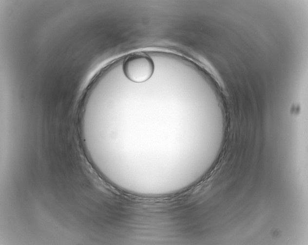 X0000094381360200711020815
