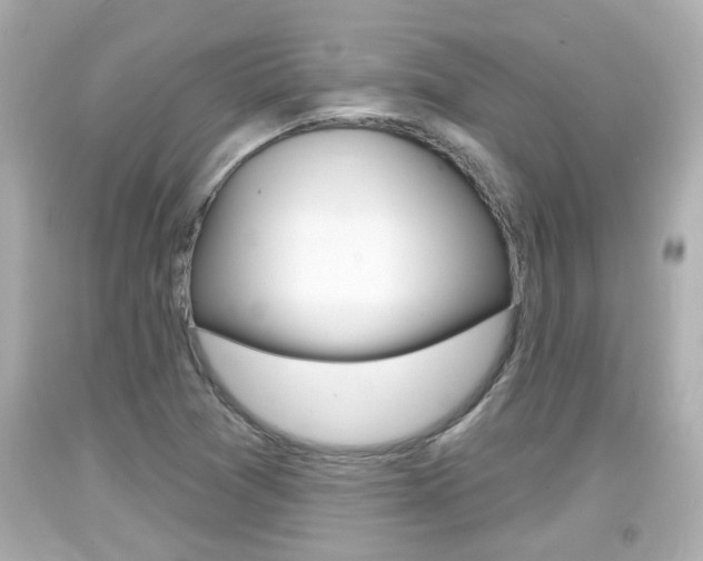 X0000094381361200711020815