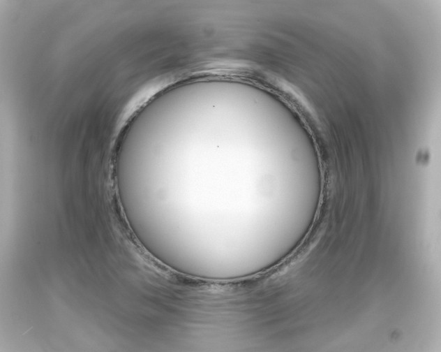 X0000094381362200711020815