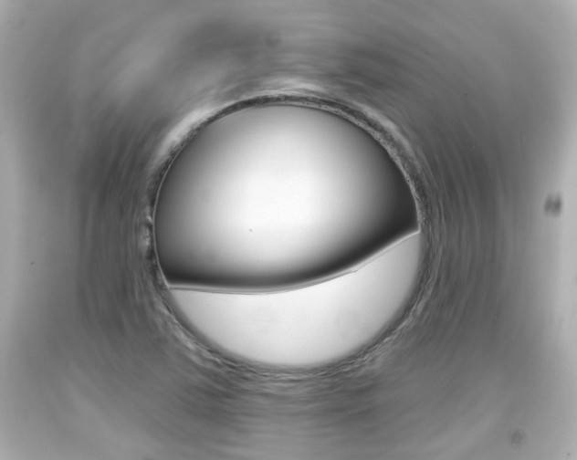 X0000094381363200711020815