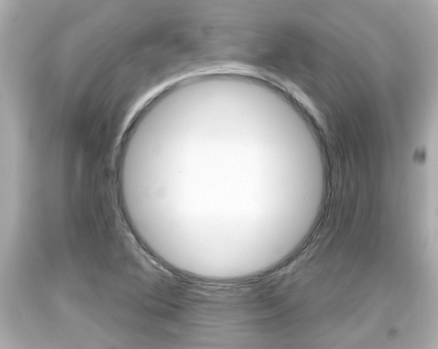 X0000094381364200711020815