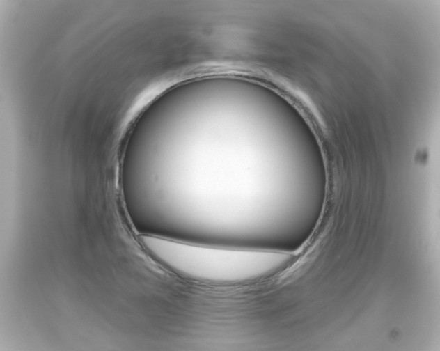 X0000094381365200711020815