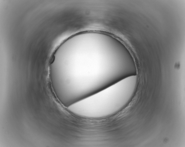 X0000094381366200711020815