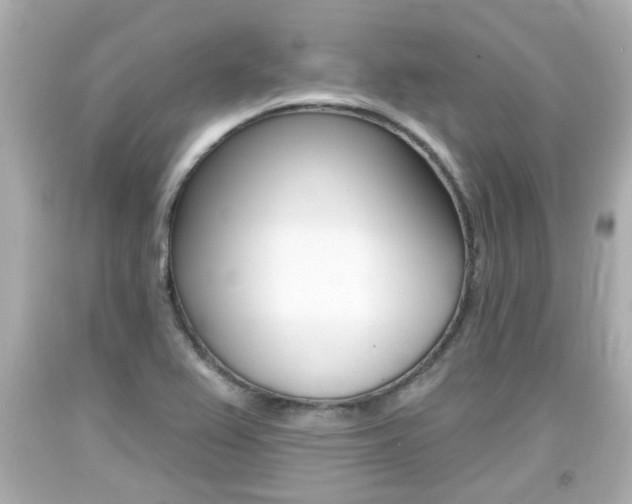 X0000094381367200711020815