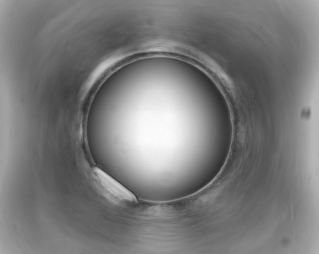 X0000094381368200711020815