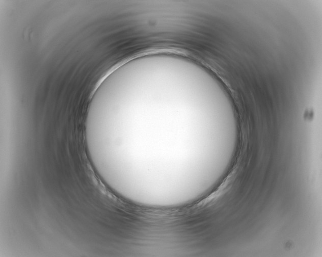 X0000094381369200711020815