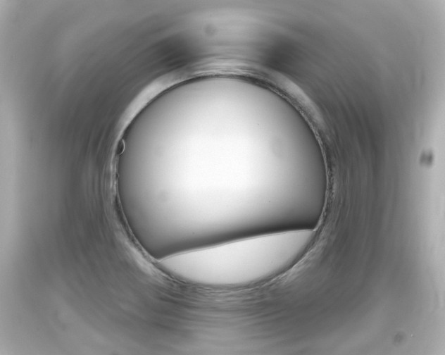 X0000094381370200711020815