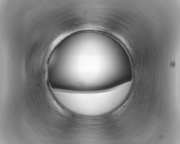 X0000094381371200711020815