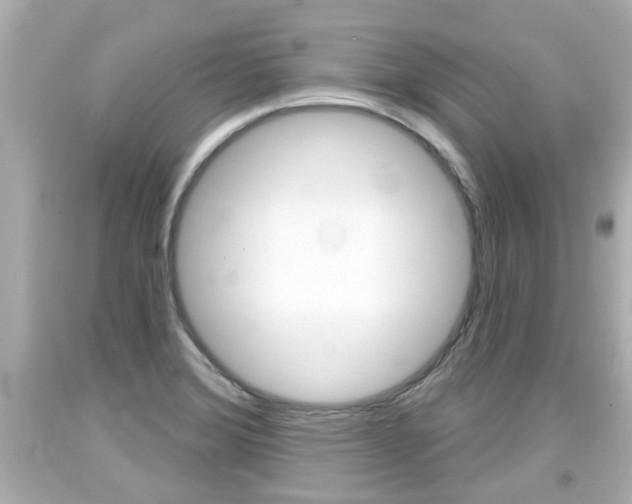 X0000094381372200711020815